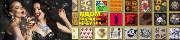 крисы Бородино