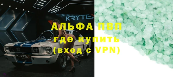 крисы Бородино