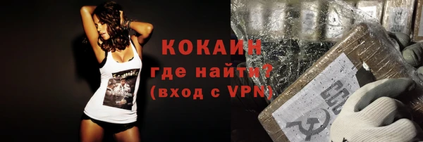 мдпв Богородицк