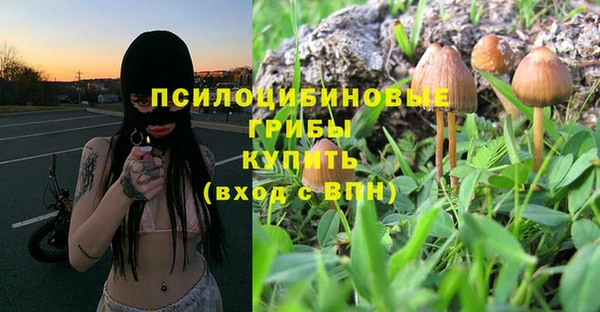 дживик Богородск