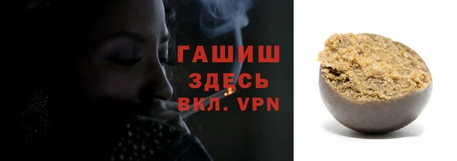 крисы Бородино