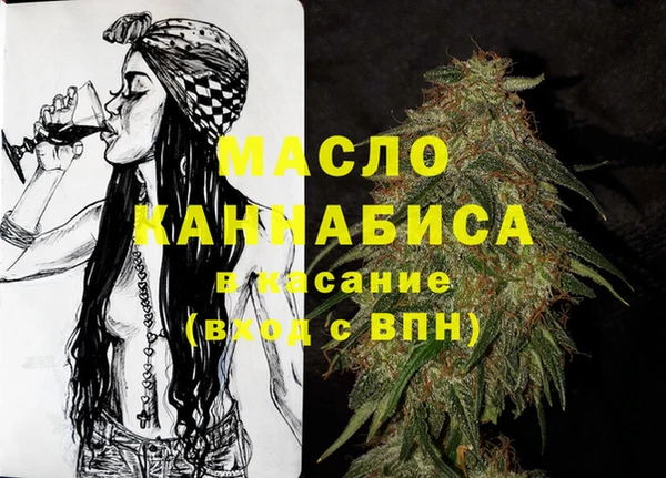 крисы Бородино