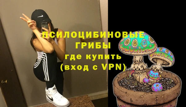 мдпв Богородицк