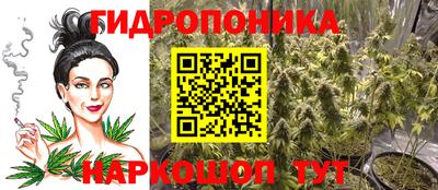 гашик Анапа