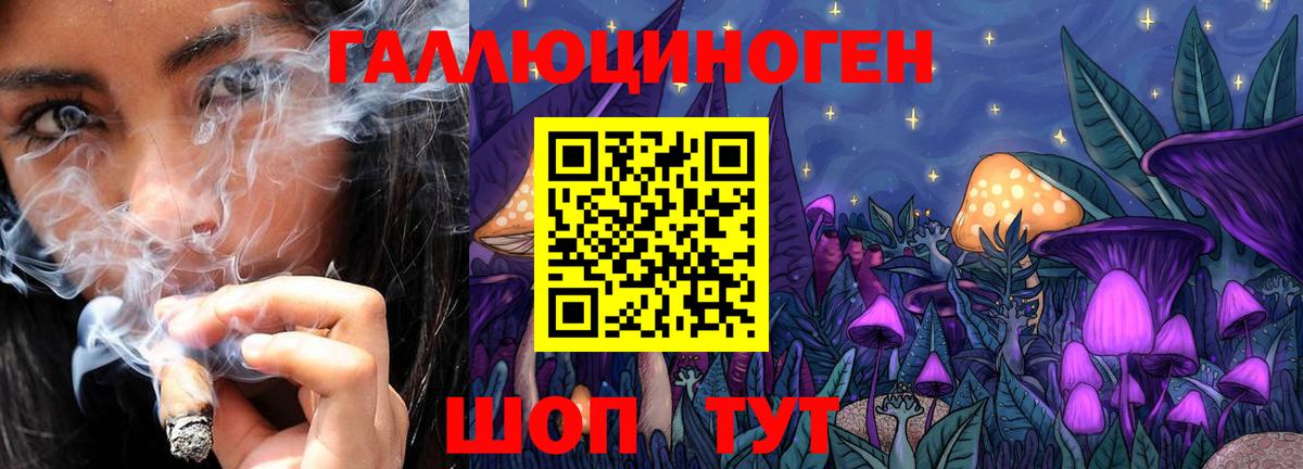 Псилоцибиновые грибы Psilocybe Воскресенск