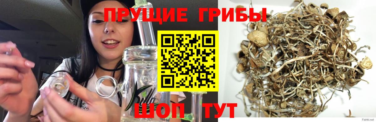 Псилоцибиновые грибы Psilocybine cubensis  Вход с VPN  Воскресенск  Псилоцибиновые грибы ЛСД 